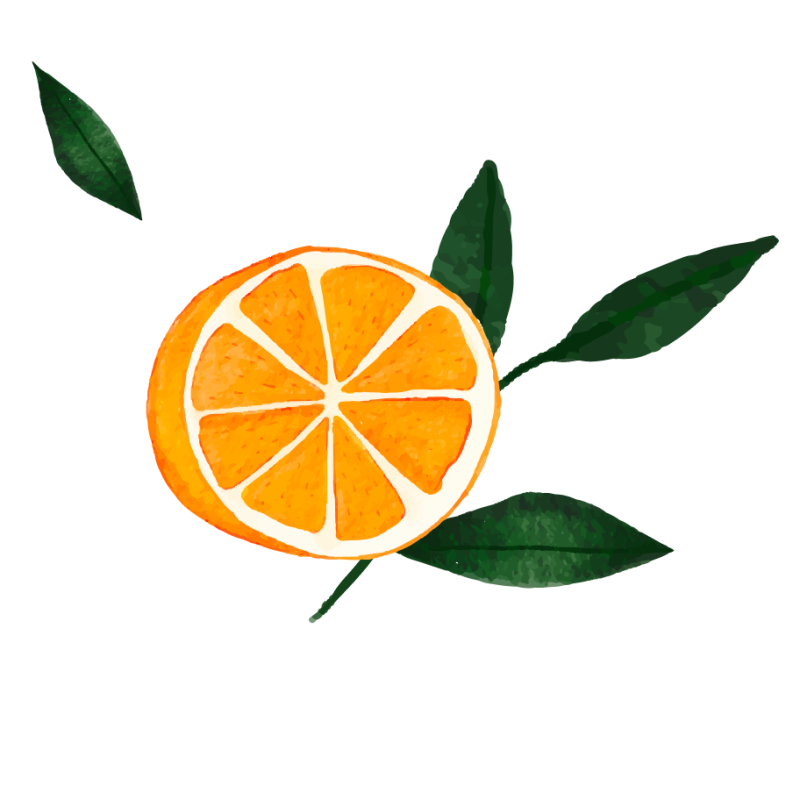 Le Restaurant - Brasserie - Les Jardins de L'orangerie - Bègles - restaurant Français BEGLES