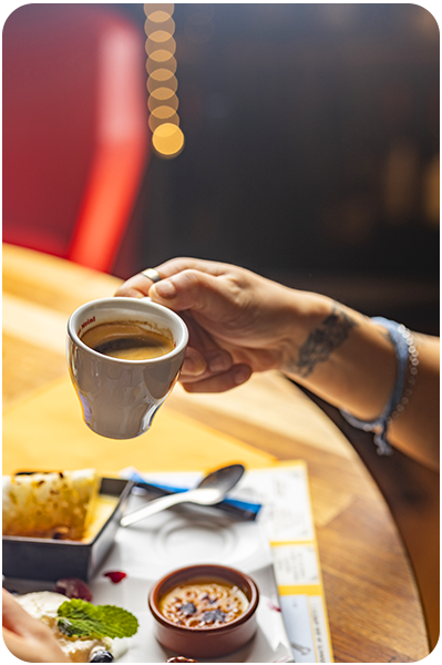 Le Restaurant - Brasserie - Les Jardins de L'orangerie - Bègles - restaurant Traditionnel BEGLES